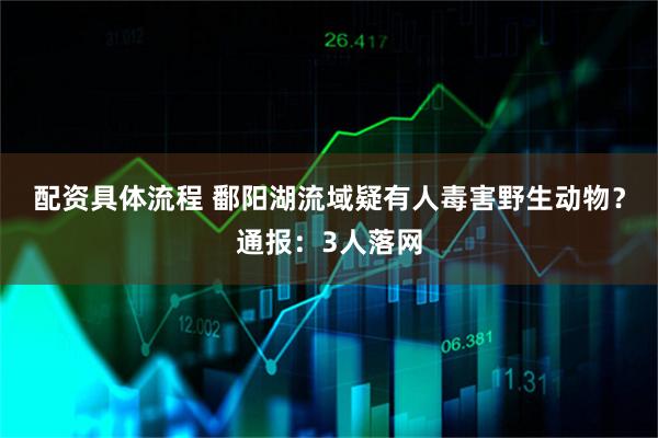 配资具体流程 鄱阳湖流域疑有人毒害野生动物？通报：3人落网