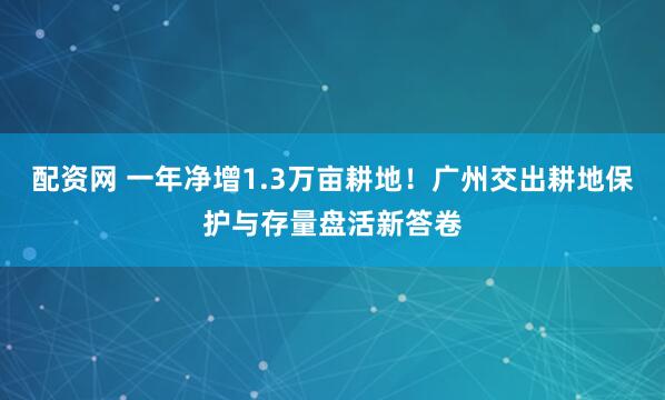 配资网 一年净增1.3万亩耕地！广州交出耕地保护与存量盘活新答卷